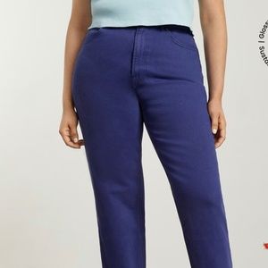 Everlane Curvy Way High Jeans - Purple, size 30